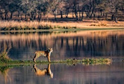 Fateh Sagar Lake Udaipur